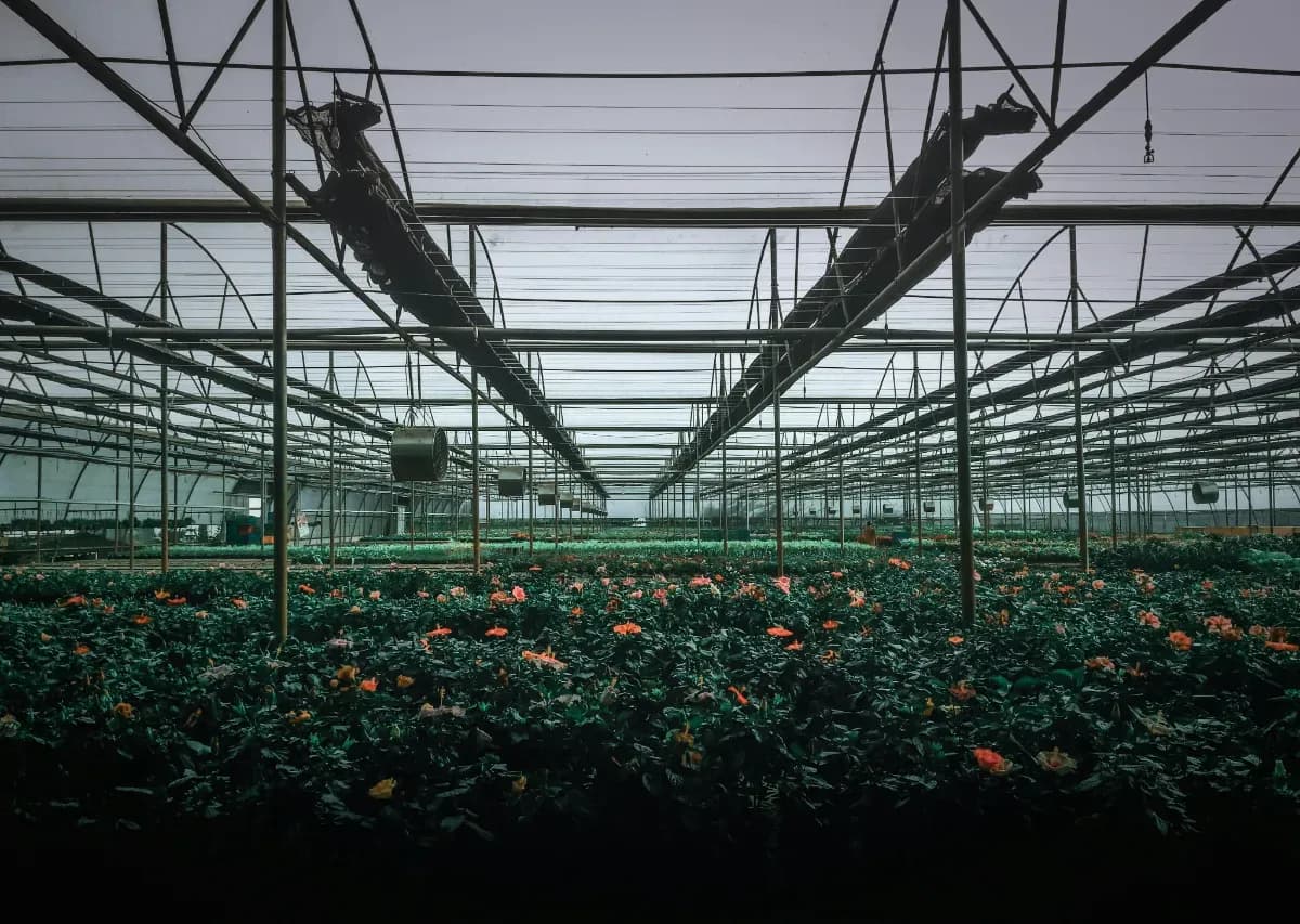AI-Driven Greenhouse Gas Monitoring